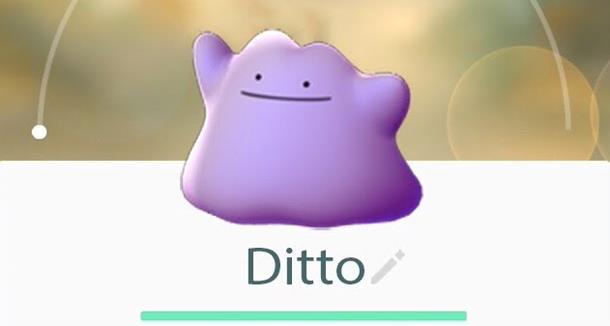 Ditto è stato finalmente catturato in Pokémon GO Ditto in Pokémon GO