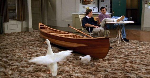 Il gallo e l'oca Una scena di Friends con il gallo e l'oca