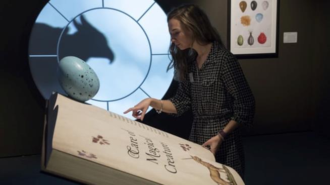 Google permette di visitare online la mostra Harry Potter: A History of Magic Un visitatore alla mostra Harry Potter: A History of Magic (foto: John Phillips/Getty Images)