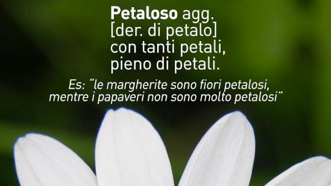 Un post di National Geographic Channel Italy con la spiegazione della parola inventata dal giovane Matteo Immagine di National Geographic Channel Italy con la spiegazione di Petaloso