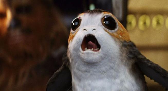 Un Porg de Gli Ultimi Jedi Un Porg de Gli Ultimi Jedi è pronto alla battaglia