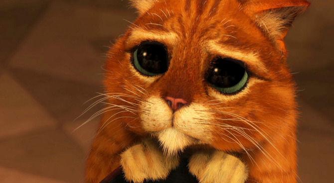 Gli occhioni del Gatto con gli Stivali Gatto nella famosa scena da felino indifeso