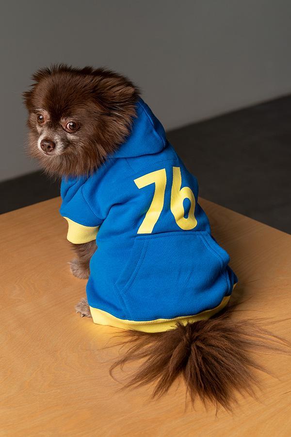 Il vestitino per cani ispirato a Fallout 76 La linea di abbigliamento per cani di Fallout 76