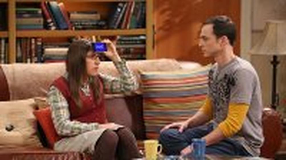 The Big Bang Theory S8E9_Cover