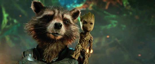 Rocket Raccon e Baby Groot Rocket Raccon con Baby Groot sulle spalle