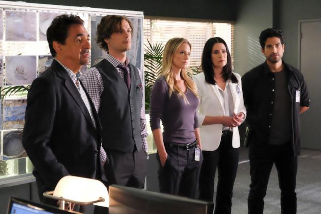 Criminal Minds 13: tutte le novità prima dell'inizio Parte del cast che vedremo in Criminal Minds 13