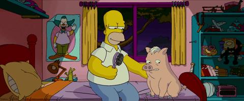 Homer pettina Spider Pork Homer pettina Spider Pork sul letto di Bart