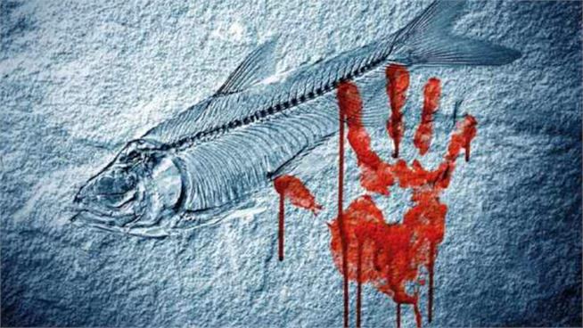 La Sostanza del Male, il thriller Luca D'Andrea è già stato venduto in 13 nazioni Un dettaglio della copertina di La Sostanza del Male