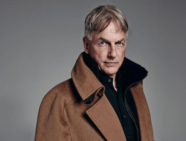 Mark Harmon, interprete di Gibbs in N.C.I.S. L'attore Mark Harmon