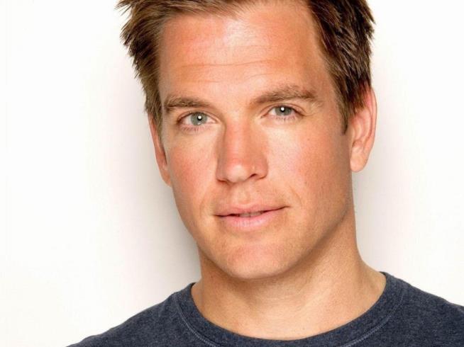 Dopo N.C.I.S. Michael Weatherly sarà impegnato in un progetto su Mata Hari L'attore Michael Weatherly