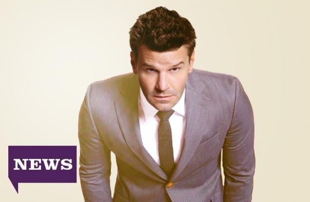 Il cane portafortuna di David Boreanaz, l’attore di Bones