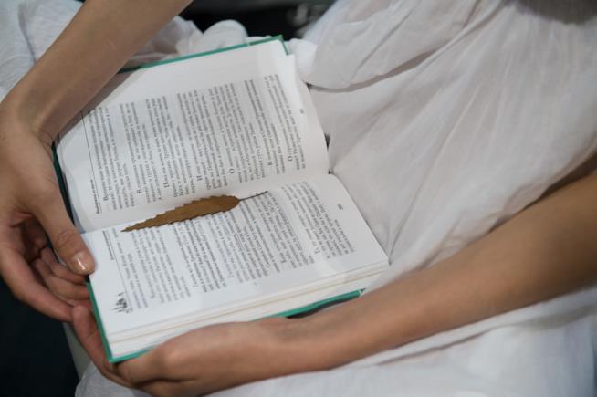 I 5 libri consigliati di marzo 2017 Libro aperto con foglia segnalibro