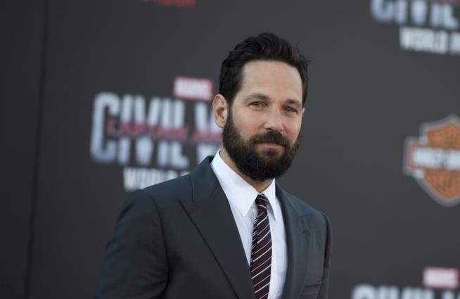 Paul Rudd durante l'anteprima di Captain America: Civil War Captain America: Civil War, Paul Rudd durante l'anteprima del film