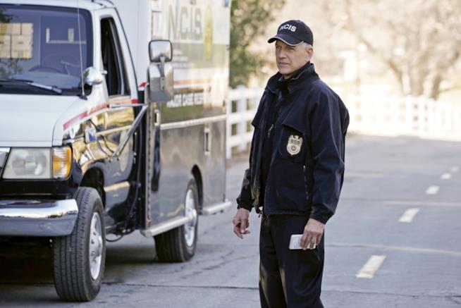 Mark Harmon per beneificienza ha costruito delle case in Oklahoma Mark Harmon mentre interpreta GIbbs in NCIS