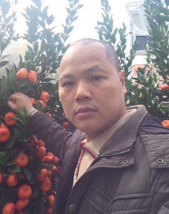 Brother Orange Brother Orange davanti alle arance