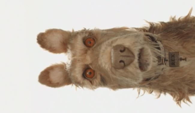 Il cane Rex-Edward Norton in Isle of Dogs Il cane Rex in Isle of Dogs