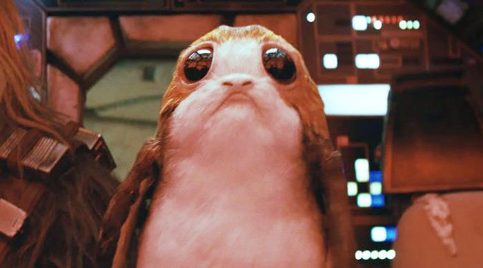 Gli occhioni di un Porg Il Porg amico di Chewbecca
