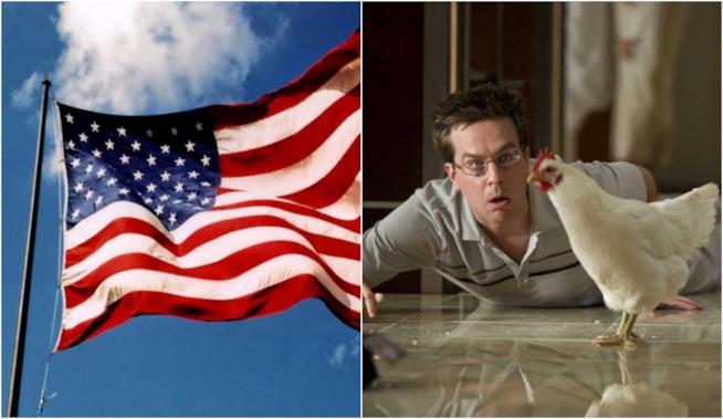 i 20 film comici americani che non potete perdervi Un collage tra la bandiera americana e Una notte da leoni