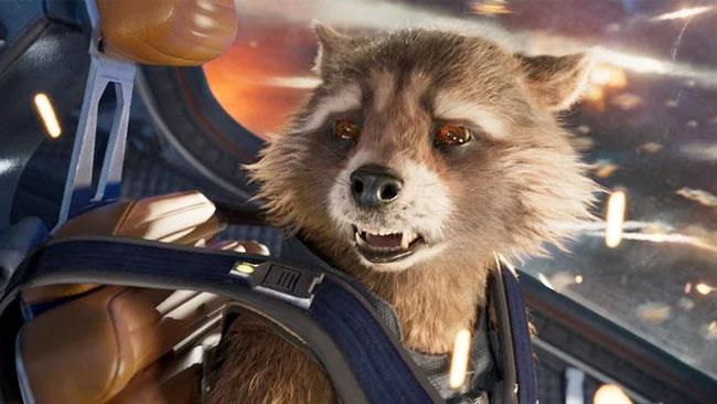 Rocket Raccon Infinity War Primo piano di un affranto Rocket Raccoon
