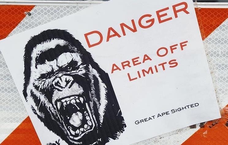 Le riprese di Godzilla vs Kong inizieranno questa settimana Una foto mostra il pericolo Kong del crossover del MonsterVerse