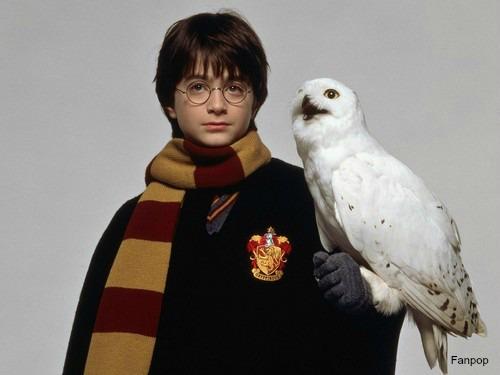 Daniel Radcliffe nei panni di Harry Potter Daniel Radcliffe da Harry Potter a Jungle