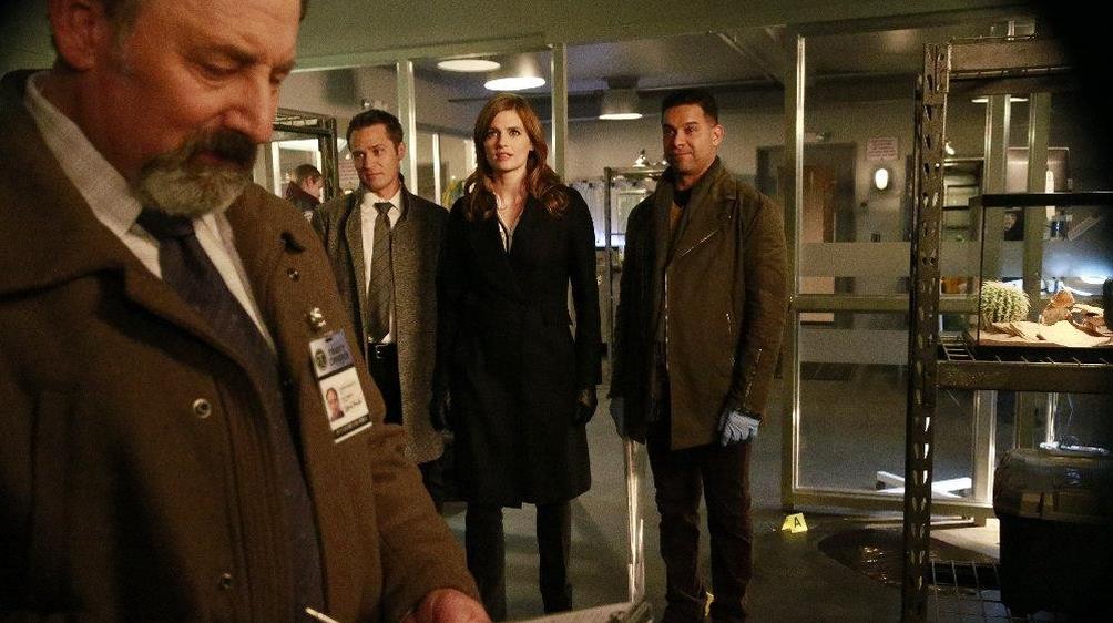 S8 E13 And Justice for All