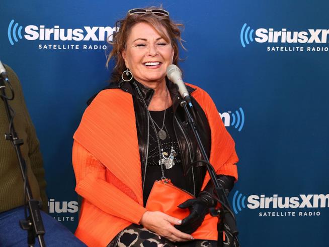Roseanne Barr ha usato parole razziste su twitter e l'emittente ha annullato la trasmissione dello show che porta il suo nome Roseanne Barr, la protagonista di Pappa e Ciccia