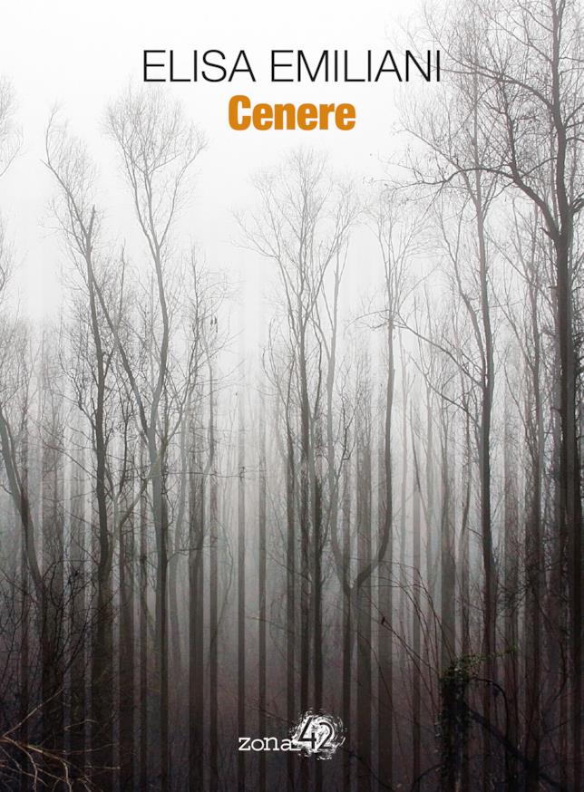 Cenere La copertina di Cenere