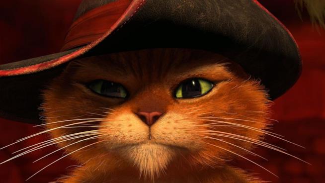 Il gatto con gli stivali 2 è in cantiere Un primo piano del gatto con gli stivali