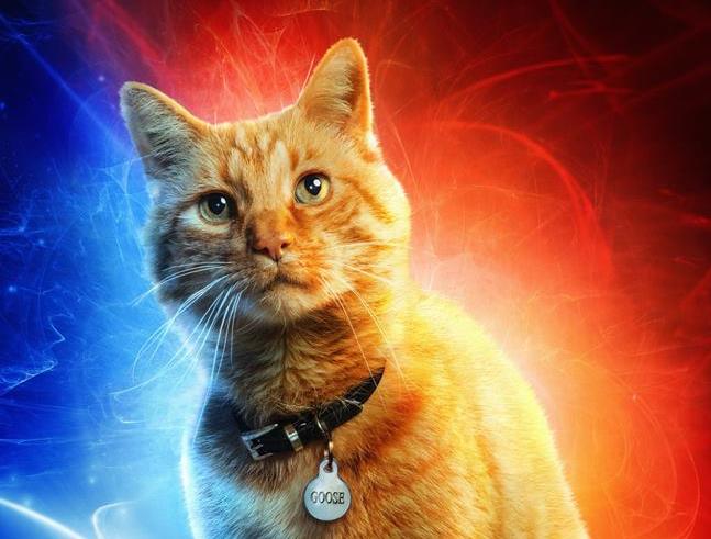 Nuove informazioni sulla Starforce in Captain Marvel da due degli attori Character poster di Captain Marvel dedicato a Goose
