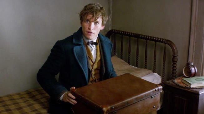 J.K. Rowling termina la sceneggiatura di Animali fantastici e dove trovarli 2 Eddie Redmayne in una scena del primo film