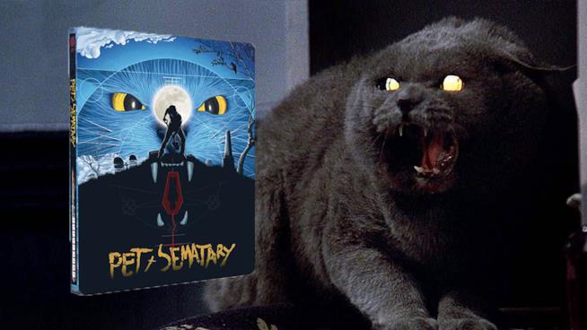 Cimitero vivente torna in versione Home Video per il suo 30° anniversario Scena del film Cimitero vivente con l'iconico gatto del film