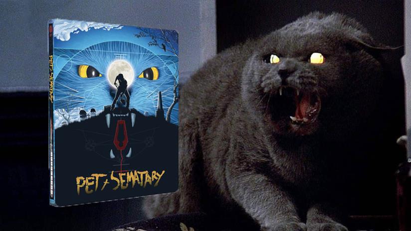 Cimitero vivente torna in versione Home Video per il suo 30° anniversario Scena del film Cimitero vivente con l'iconico gatto del film