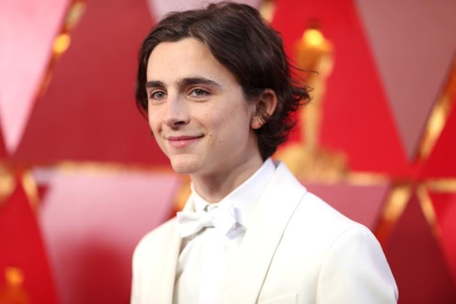 Timothée Chalamet è il possibile protagonista di Dune di Denis Villeneuve Primo piano di Timothée Chalamet agli Oscar 2018