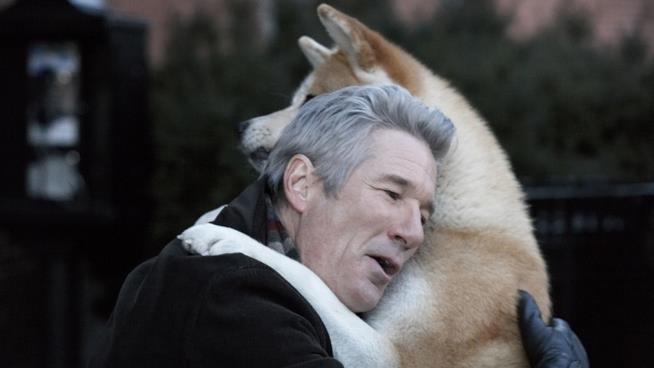 La trama de Hachiko - Il tuo migliore amico, l'emozionante pellicola con Richard Gere Richard Gere