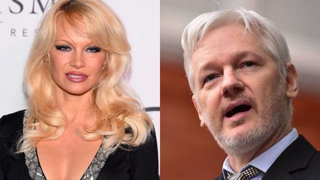 Pamela Anderson accusata del tentato omicidio di Julian Assange con del cibo vegano Pamela Anderson e Julian Assange