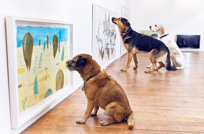 Play More, la prima mostra interattiva per cani Cani guardano un quadro