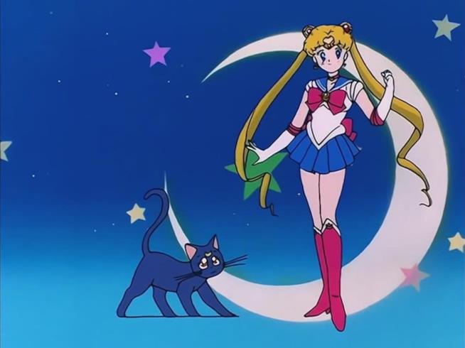 Sailor Moon eccezionale parodia fatta in casa della sigla Sailor Moon anime