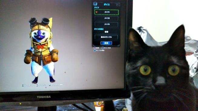 Monster Hunter World, le esilaranti reazioni dei gatti al videogame Capcom Un gatto ''gioca'' a Monster Hunter World