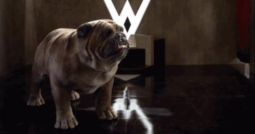 Marvel's Inhumans: il regista ci parla di Lockjaw Una simpatica immagine animata del carismatico Lockjaw