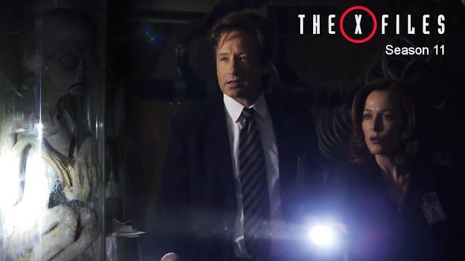 X-Files: un'immagine della stagione 11 X-Files: Mulder e Scully nella stagione 11