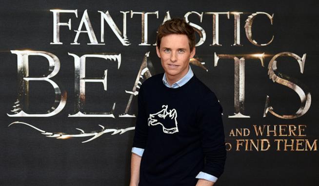 I film di Animali Fantastici e Dove Trovarli saranno 5 Eddie Redmayne al Global Fan Event di Animali Fantastici e Dove Trovarli