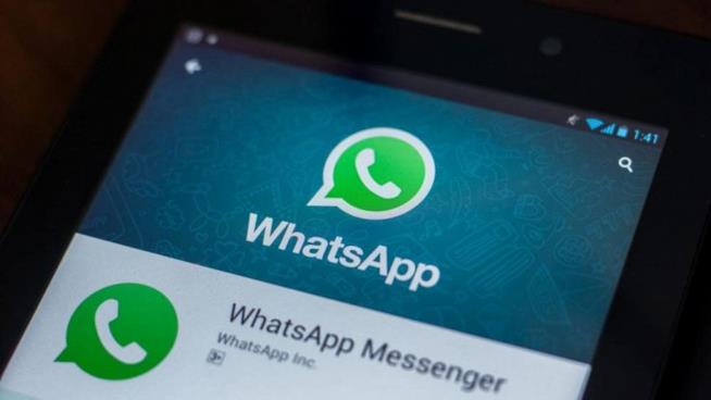 WhatsApp, il nuovo update consente di vedere contenuti multimediali senza entrare nell'app WhatsApp Messenger su un dispositivo mobile