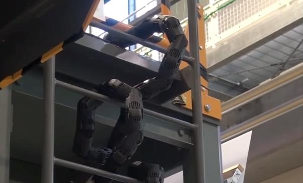 Università giapponese crea un robot serpente spaventosamente realistico Il serpente robot creato dagli scienziati