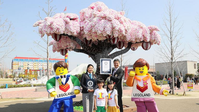 L'albero di ciliegio con 800mila mattoni LEGO è sorprendente L'albero di ciliegio di LEGO entra nel Guinness dei Primati