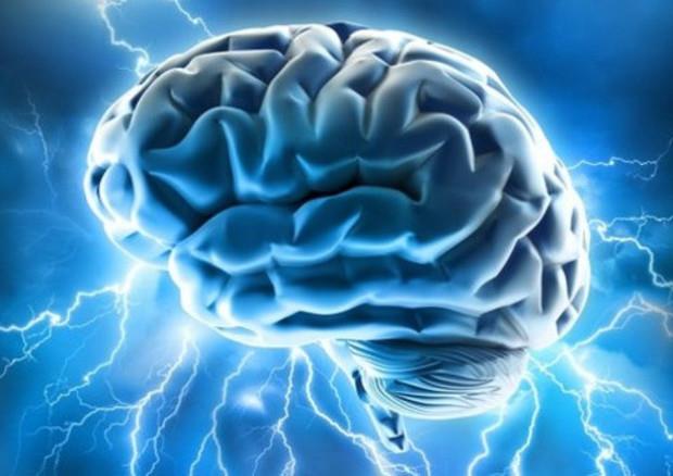 Scienziati fanno passi in avanti per comprendere meglio la coscienza umana Un'immagine che raffigura il cervello umano
