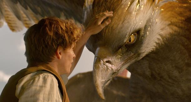 Perché Newt è stato espulso da Hogwarts? Newt Scamander e Frank in Animali Fantastici e Dove Trovarli