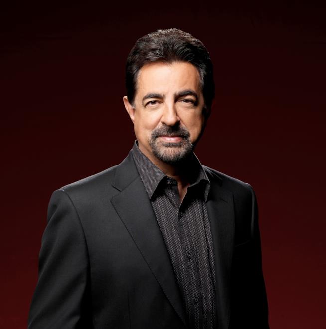 La violenza in Criminal Minds è necessaria. Lo dice Mantegna