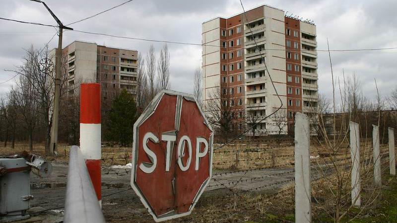 Alcuni funghi di Chernobyl usano le radiazioni per produrre energia chimica per la crescita La zona di esclusione di Chernobyl