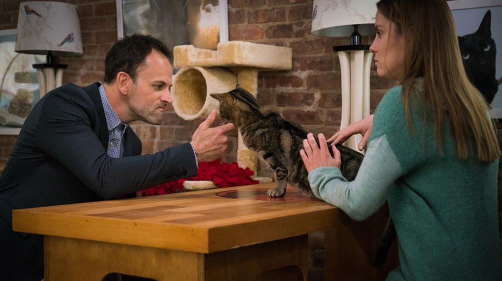 Elementary409